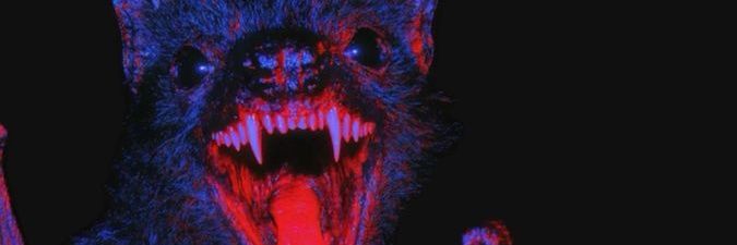 NiñaSumisa 🪼's banner