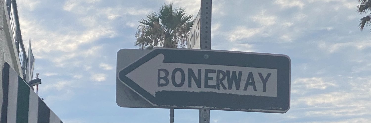 b0nerjams's banner