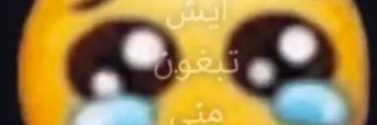 Meem's banner