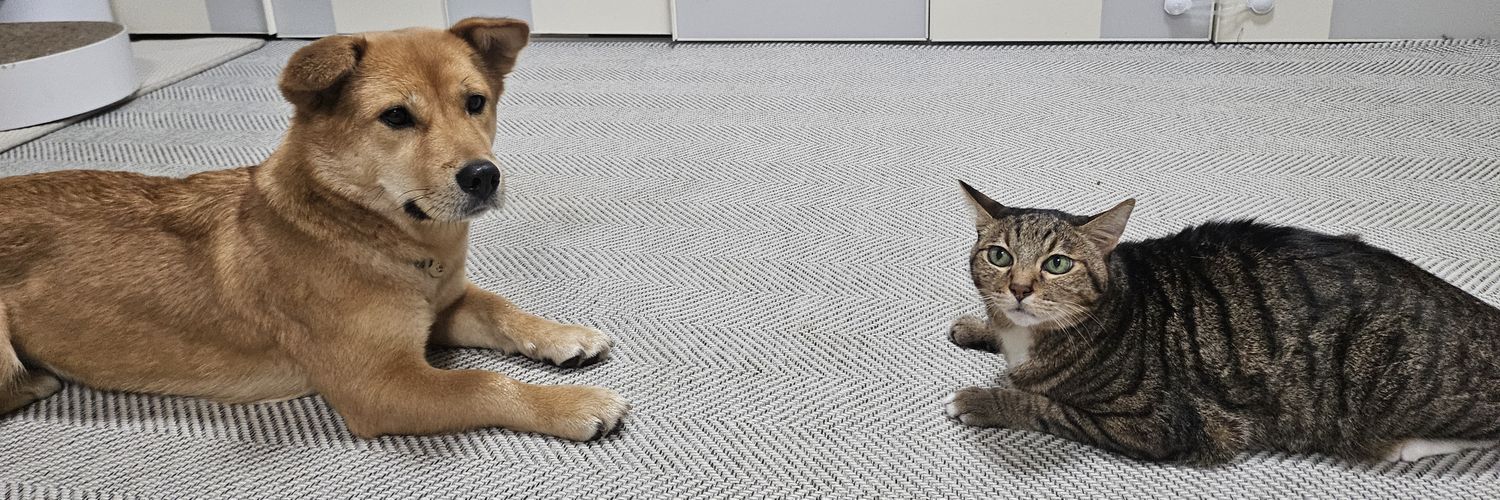 🎗맘씨좋은 🐈김마중씨&🐕 정새별씨's banner