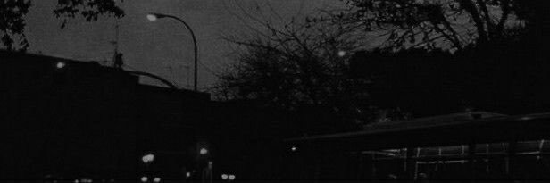 𝖘𝖔𝖑𝖔𝖔 ✨'s banner