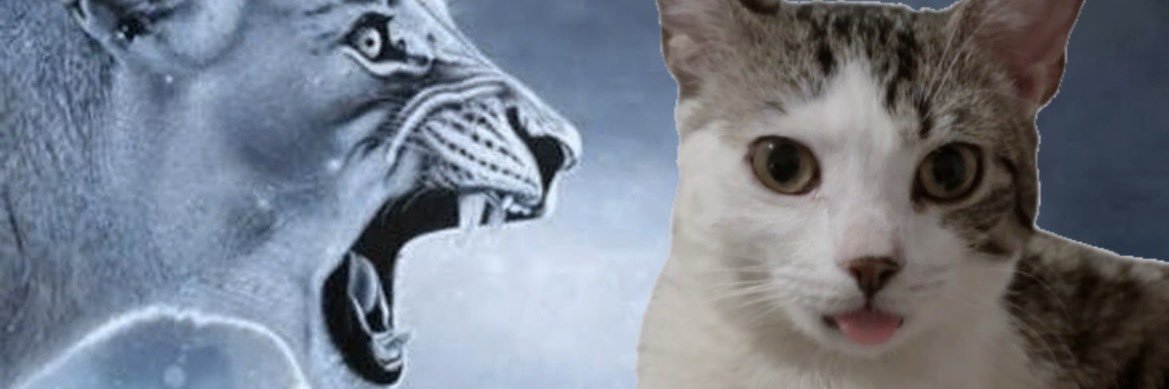 Fortnite's banner