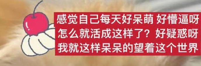 天才交易员baby娜's banner