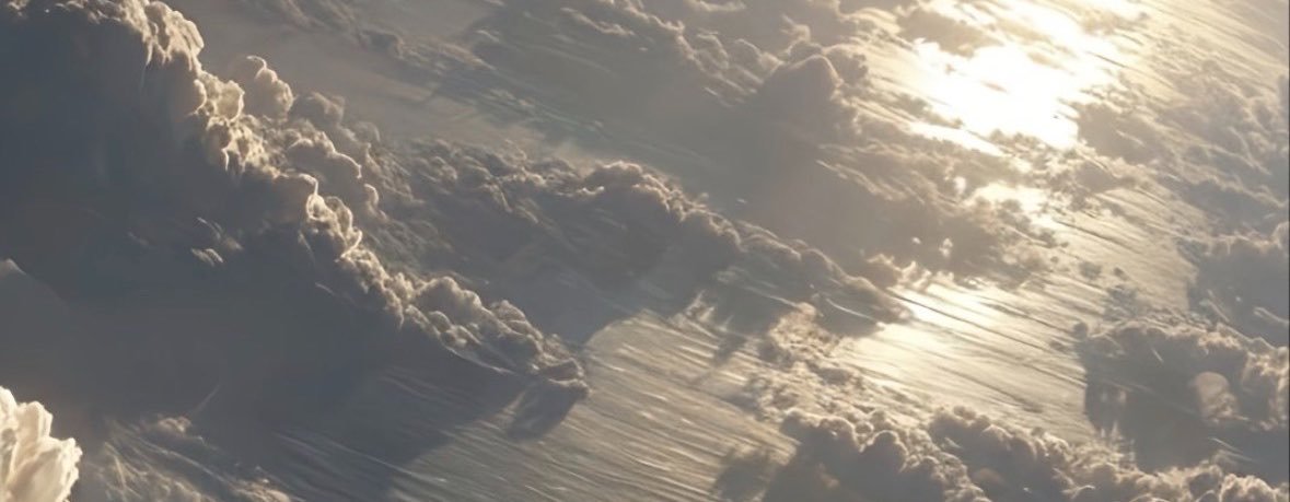 SoftTbooy🏳️‍⚧️'s banner