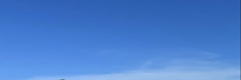 Sophie's banner