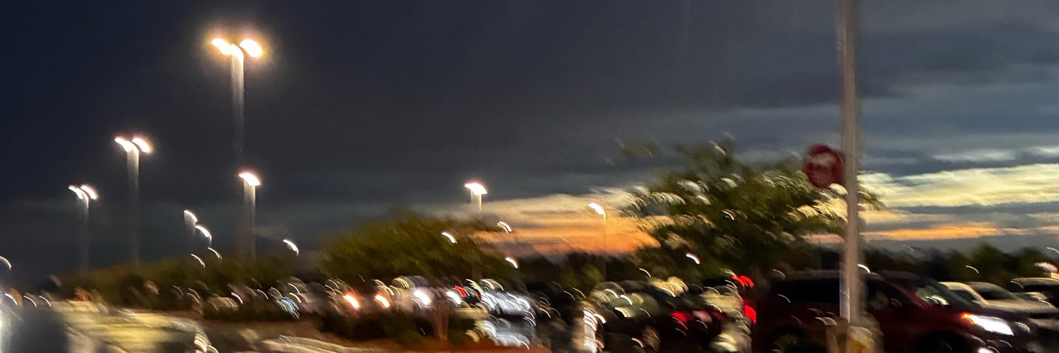 🪷 chan chan 🪷's banner