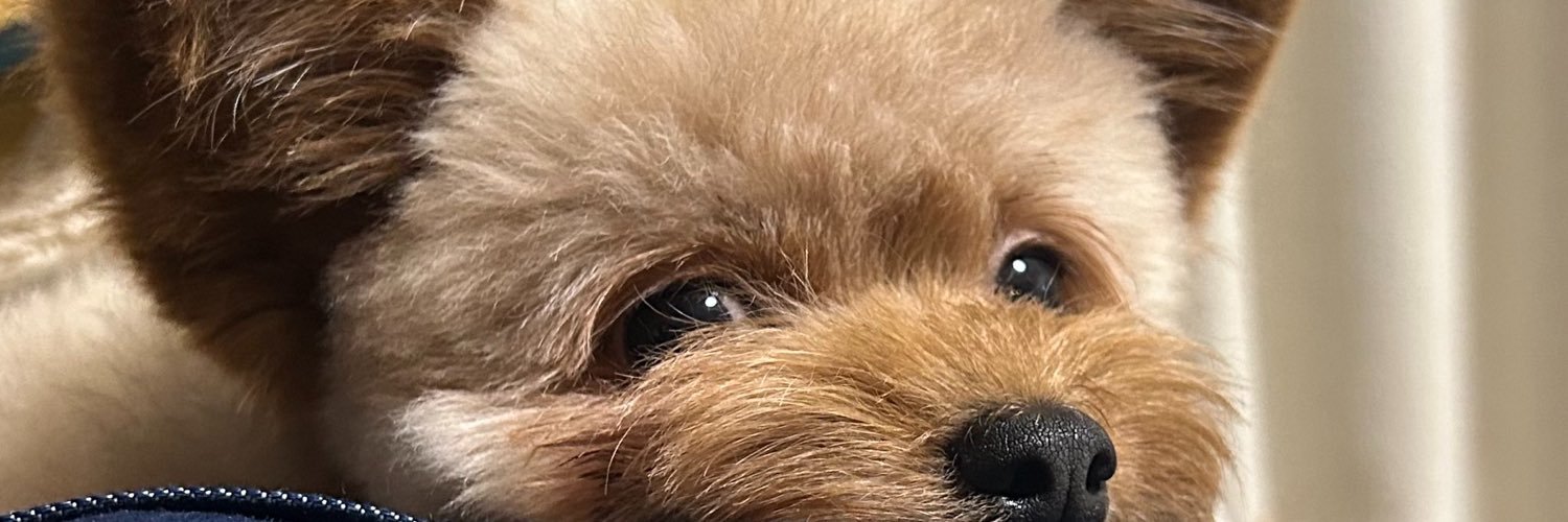もじゃ犬ぽっち's banner