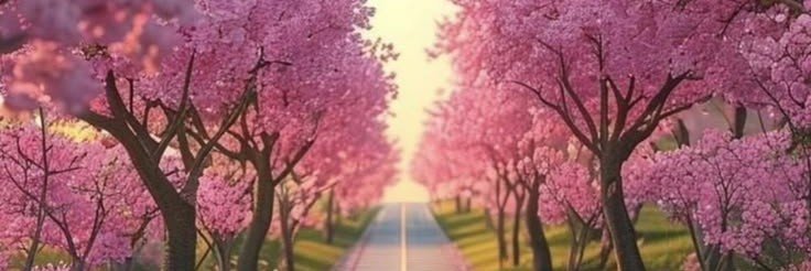 🍃🅽𝕚Ⓝ𝔾’Ｓ 𝔼𝕧𝕖𝕣𝕪𝕕𝕒𝕪🍃's banner