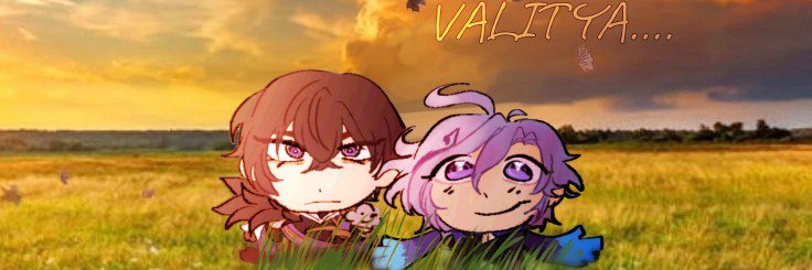 v's banner