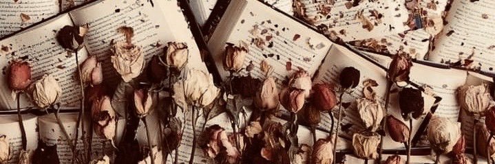 Ezmayy🌸's banner