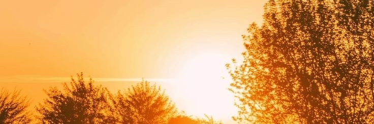 ⋆𐙚Solacea˚⊹♡'s banner