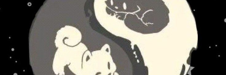 marissa's banner