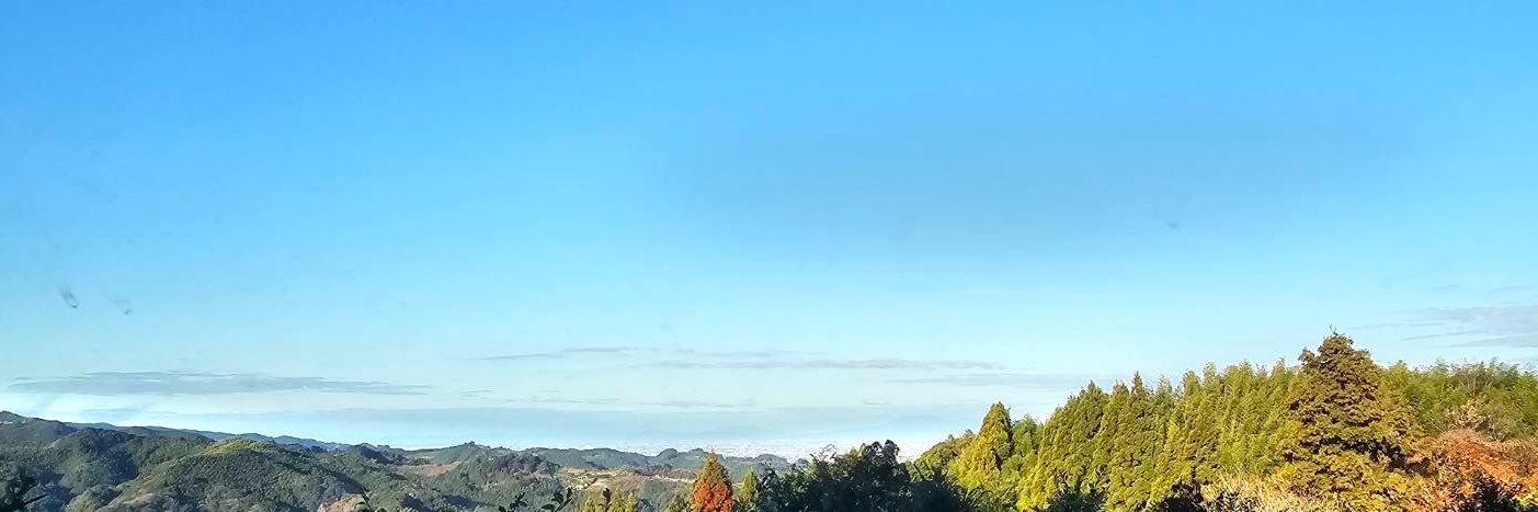 お茶の大幸園's banner