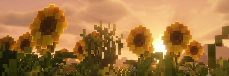 Opal's banner