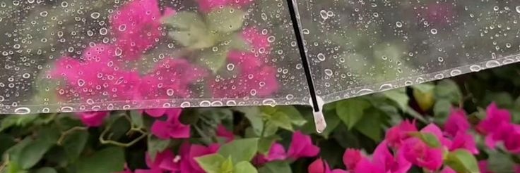 💧 قطرة المطر💧's banner