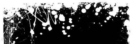 ciri's banner