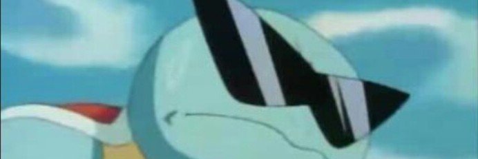 squirtle dançando todo dia's banner