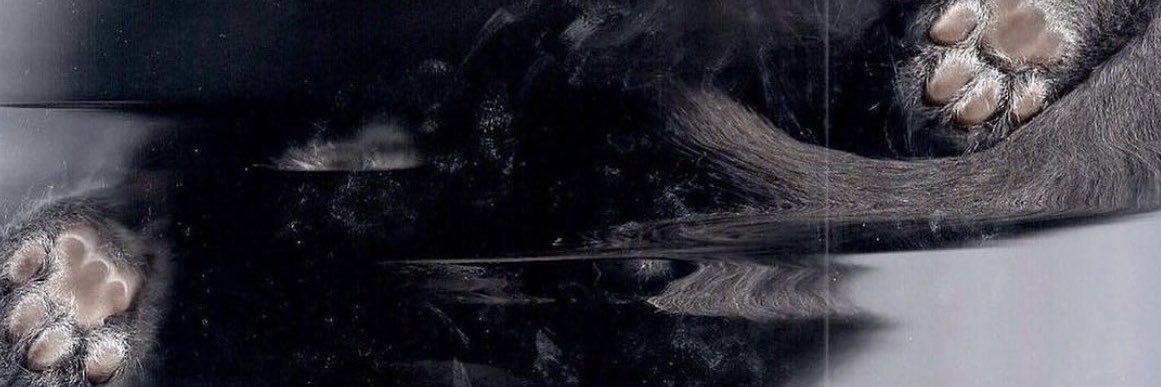 angel 🫧's banner