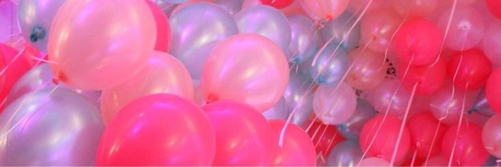 willow🎈🐾's banner
