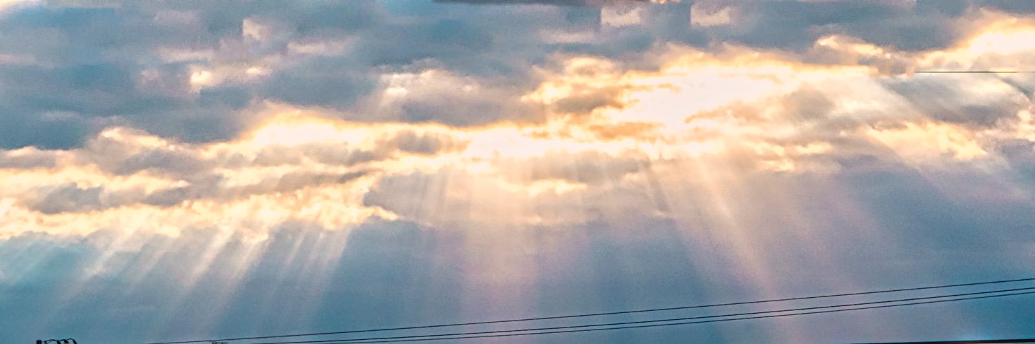 まりも™'s banner