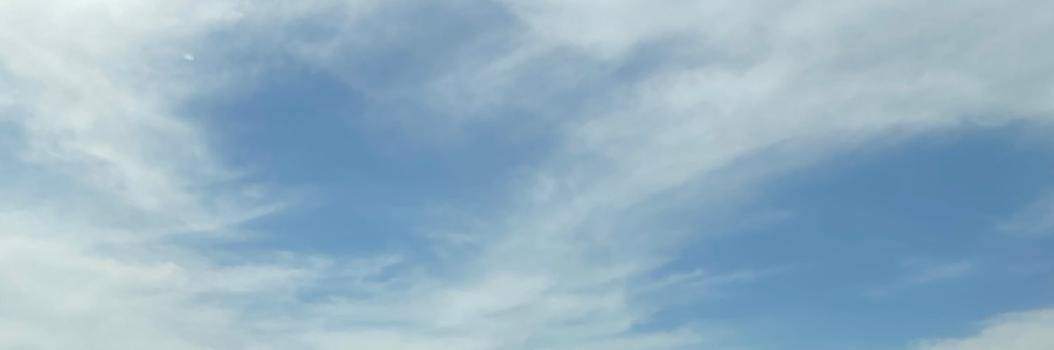 SYN's banner