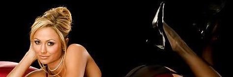 Stacy's banner