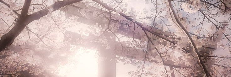 kaio fofo's banner
