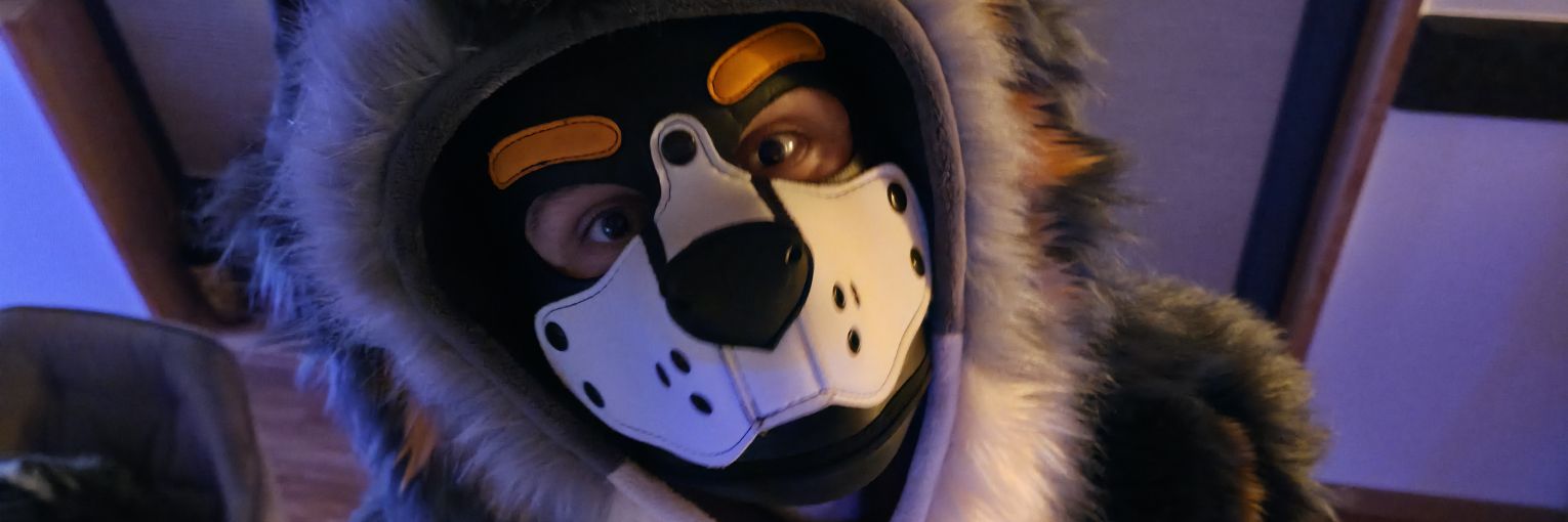 Arko floof's banner