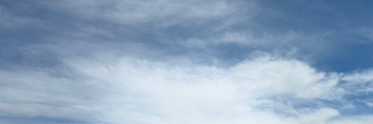 Skye's banner