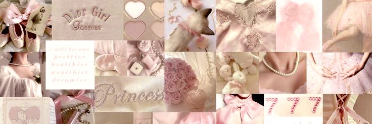 lexi ⋆˚✿˖°'s banner