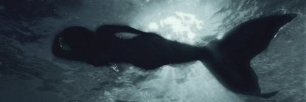 ℳ𝒾𝒹𝓃𝒾ℊ𝒽𝓉's banner
