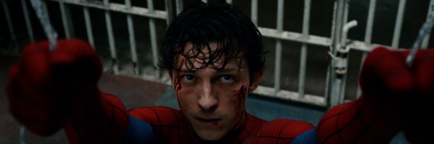 🕷️'s banner