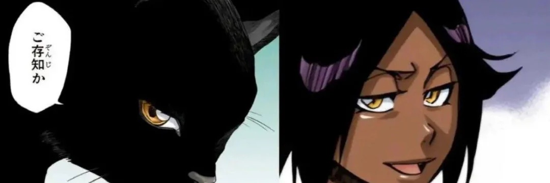 Yoruichi Shihōin's banner