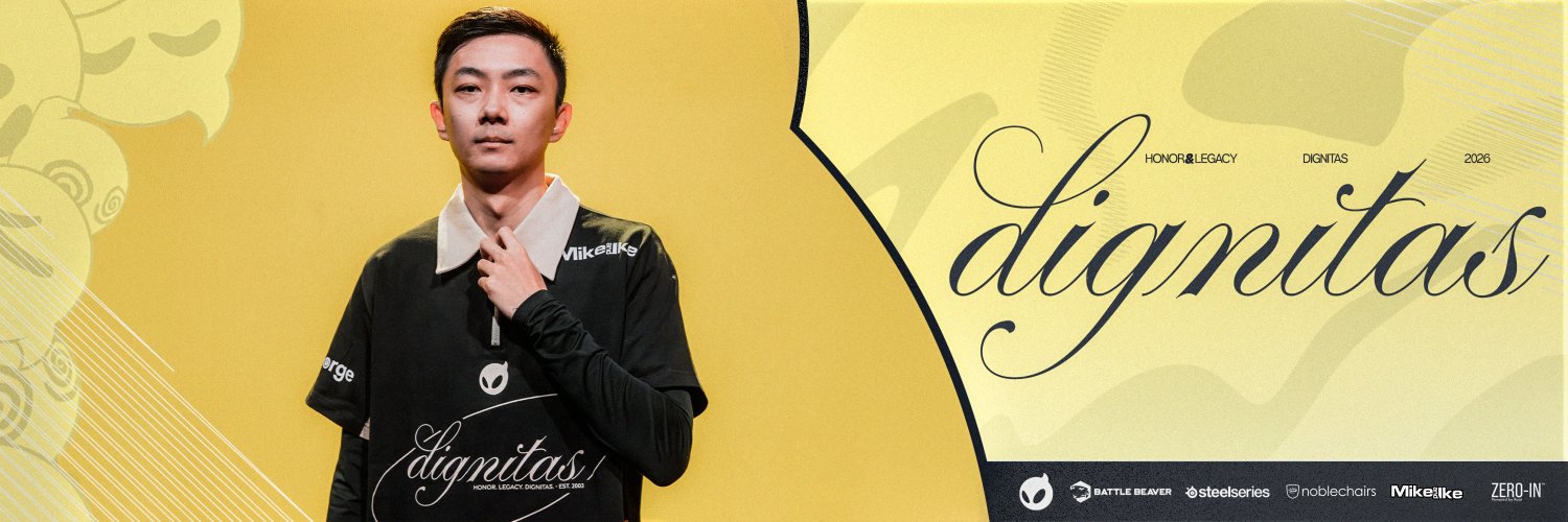 Dignitas's banner