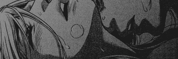 viel's banner