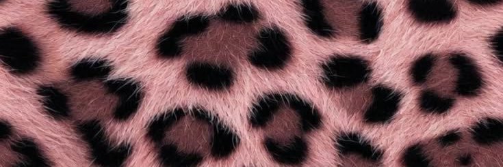 Miss Mae 🐆's banner