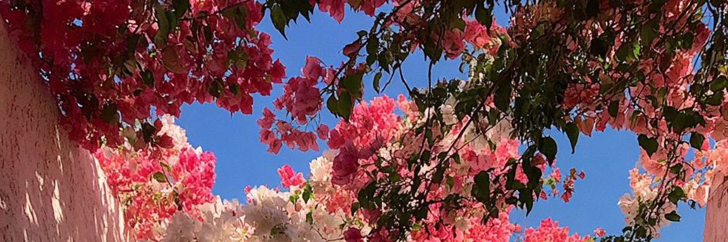 Kitty's banner