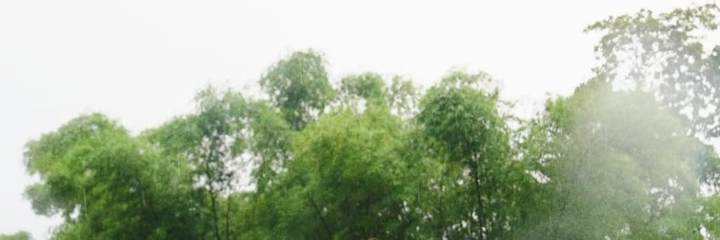 Shuga 🥳's banner