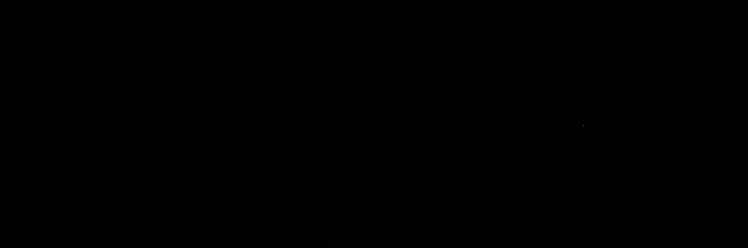 Shensi's banner