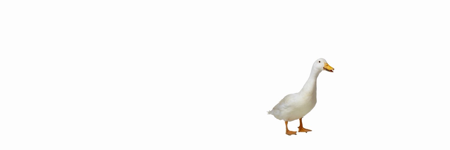 Goose's banner