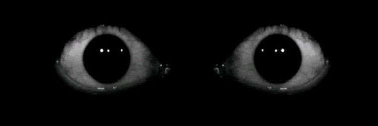 ✞🐍's banner