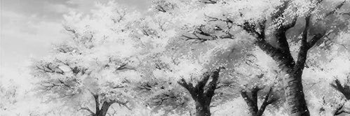 kitty.'s banner