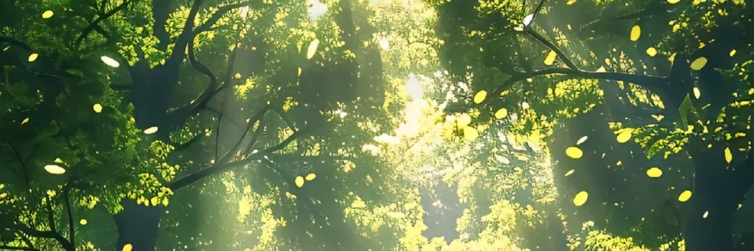 Stella's banner