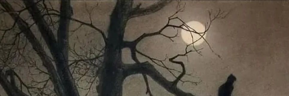 𝖘𝖔𝖋's banner