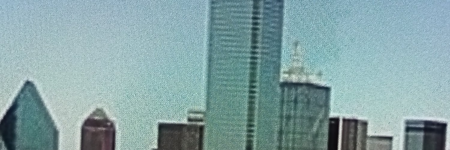 Lasina's banner