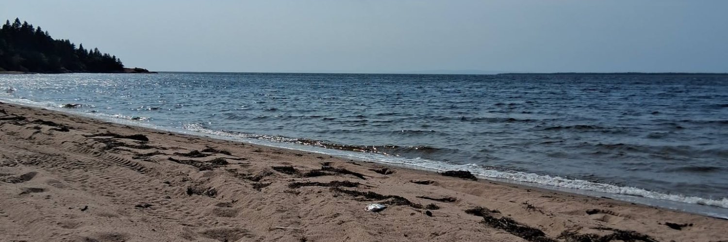 Natasha's banner