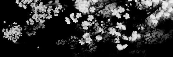 yuki ໒꒱ ‧₊˚'s banner