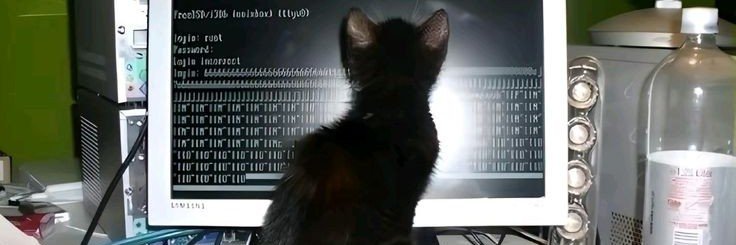 evilkittyva (NSFW 18+)'s banner