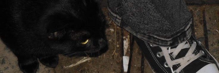 evilkittyva (NSFW 18+)'s banner