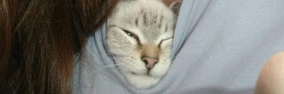 ciaafterdark's banner